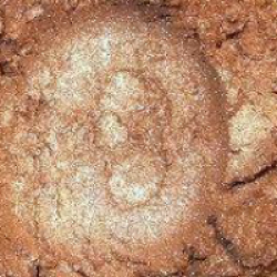 Dabīgo minerālu bronzeris, vēss tonis 3ml